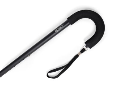 Crook handle walking stick