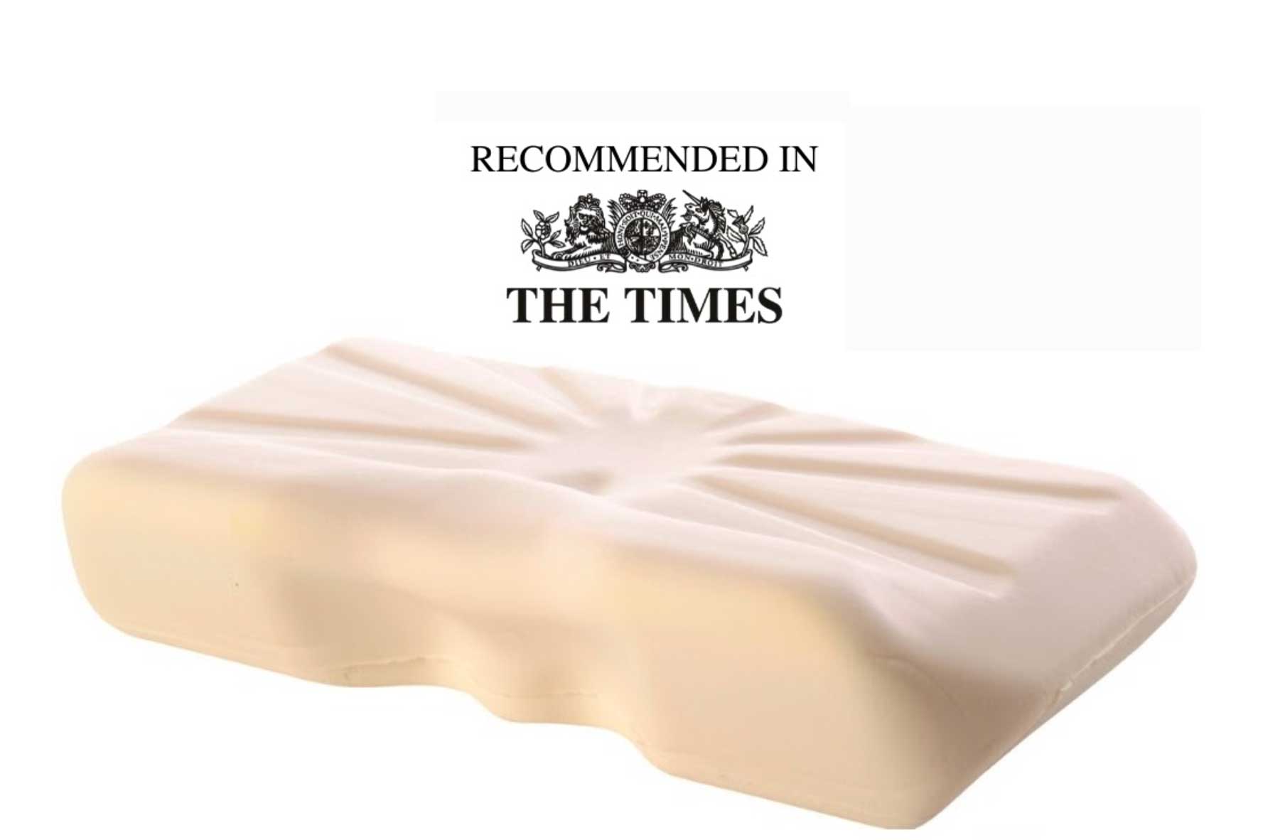 Putnam's king pillow